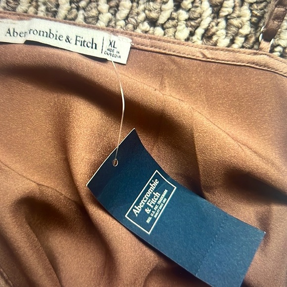 New Abercrombie & Fitch Women’s Brown Satin Sleeveless Bodysuit Thong Size XL - Picture 2 of 3
